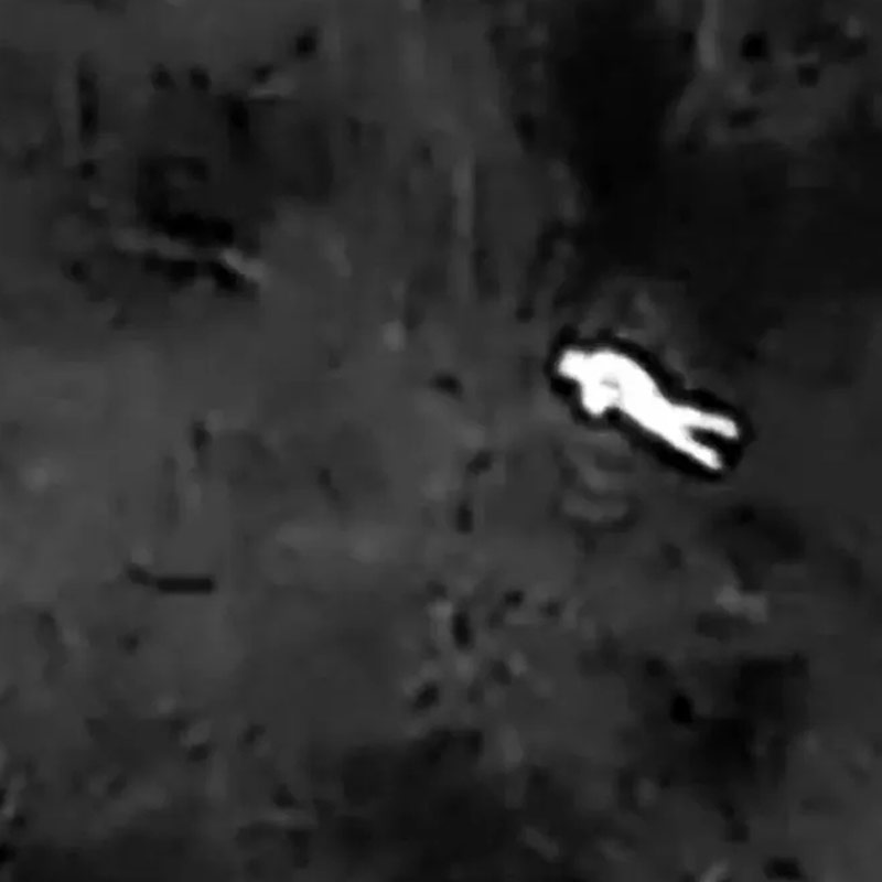 søk etter mennesker med termisk drone